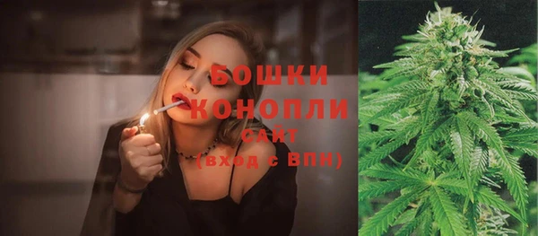 ешки Арсеньев