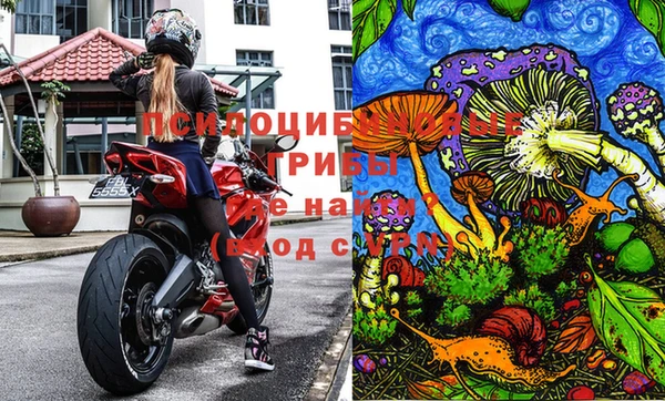 тгк Аркадак