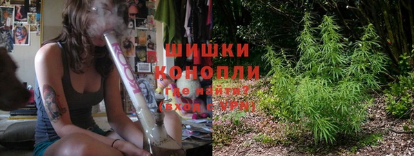 ешки Арсеньев