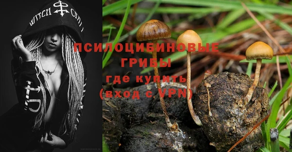 прущая мука Армянск