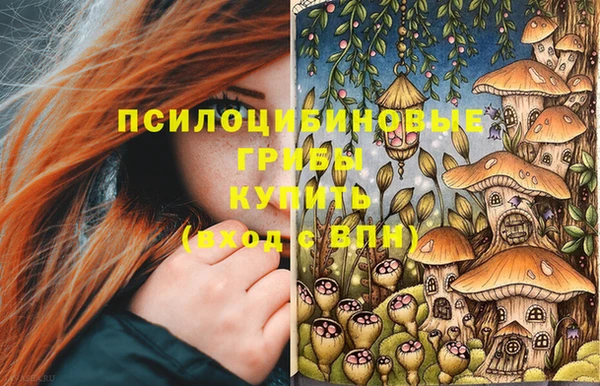 ешки Арсеньев